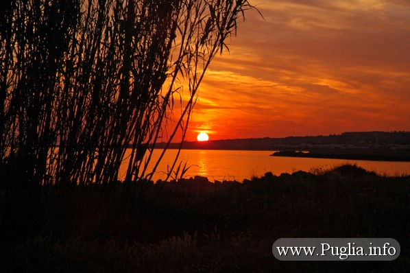 Foto Puglia Tramonto Nel Mare Del Salento In Puglia A Torre Vado Marina Di Morciano Di Leuca