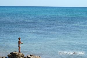 Il mare della Puglia, mare pescoso per ogni tipo di pesca.