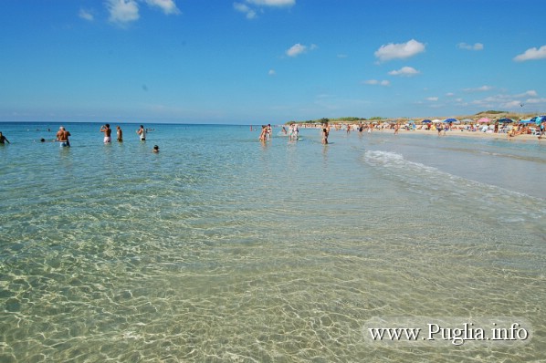 Foto spiaggia le maldive del Salento in Puglia. Una spiagia bianca con acqua cristallina in località Pescoluse.