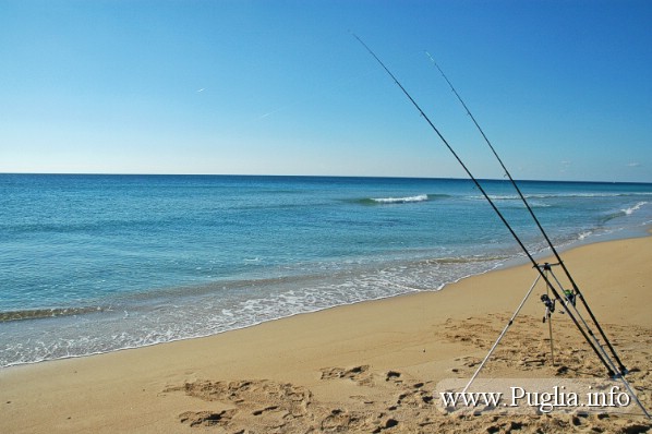 Foto durante una battuta di pesca sulle spiagge del Salento precisamente a Pescoluse marina di Salve Lecce.
