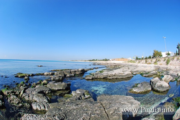 Zona sorgenti di Torre Vado accanto alla spiaggia di Pescoluse nel Salento. In questo tratto di mare esistono pozze di acqua dolce sorgiva direttamente nel mare.