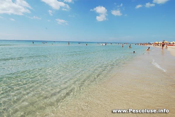 una tra le più belle spiagge del Salento in Puglia, la Spiaggia di Pescoluse comune di salve accanto a Torre Vado.