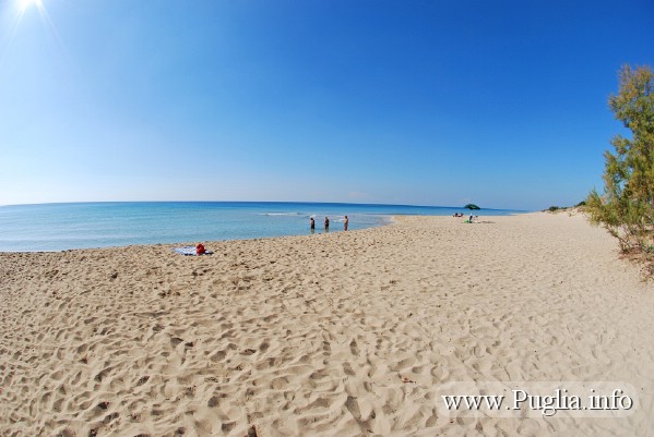 Bellissima spiaggia di Puglia. Spiaggia di Pescoluse accanto a Torre Vado nel Salento.