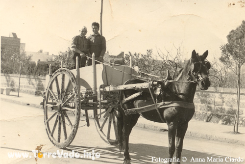 Puglia, Lu trainu a Murcianu. Cavallo con carrozza da Lavoro anno 1956