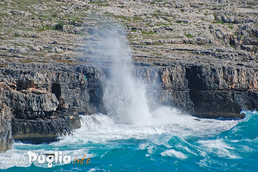 Mare che si infrange sulla costa