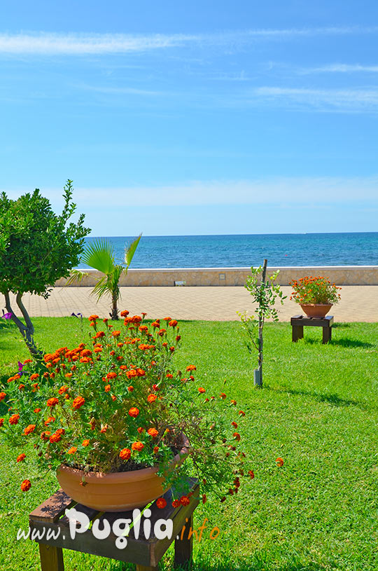 zone verdi vicino al mare