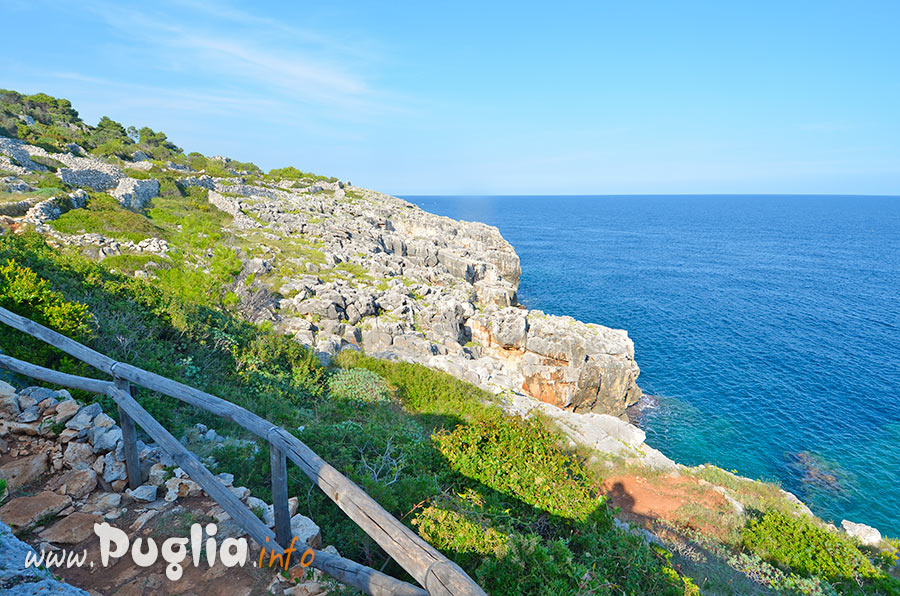 i sentieri sul mare la natura di puglia