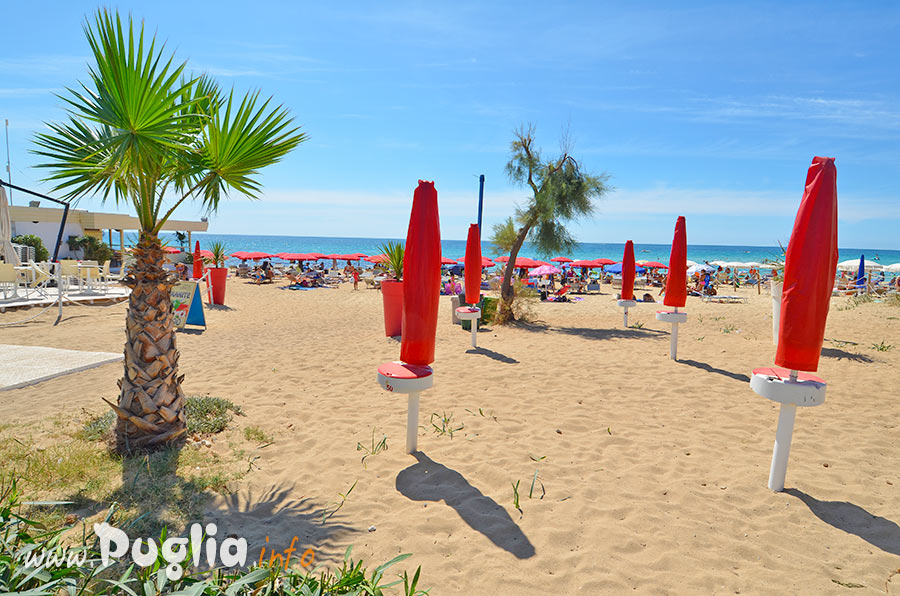 ombrelloni in spiaggia pronti per l'estate.